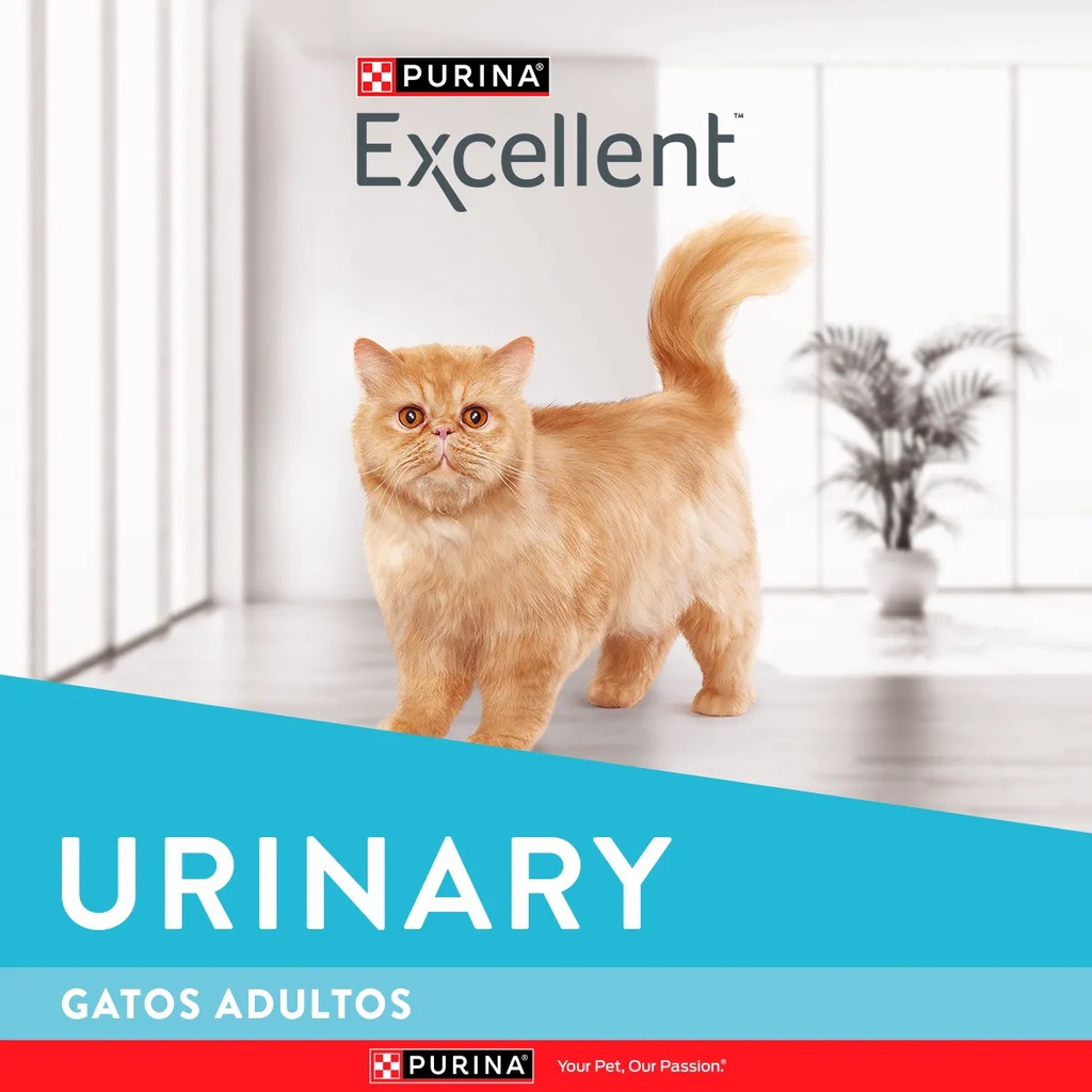 EXCELLENT GATO URINARY  X 1KG