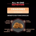 SIEGER CRIADORES X 20KG