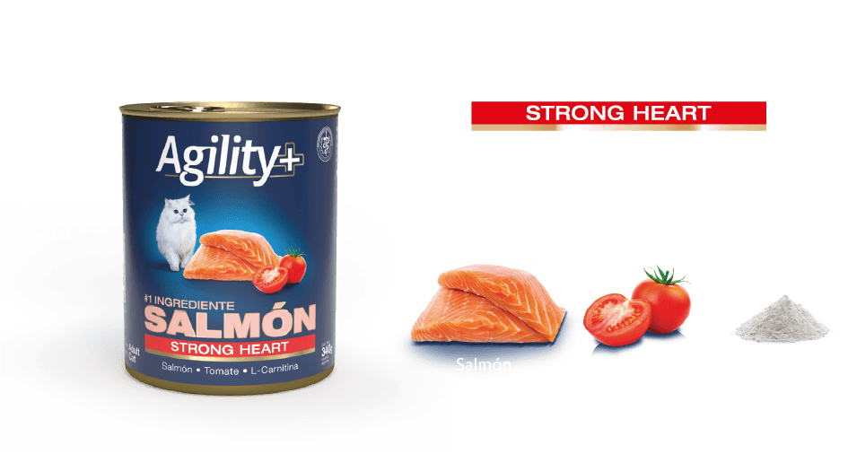 LATA AGILITY GATO SALMON 340GR