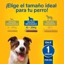 PEDIGREE DENTASTIX RAZAS MEDIANA