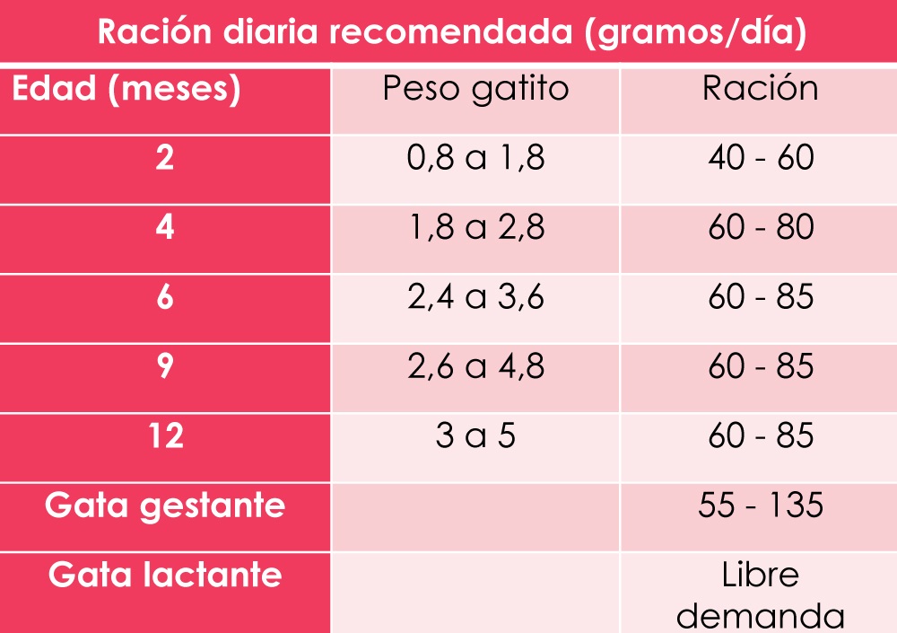 UNIK GATITOS X 2KG