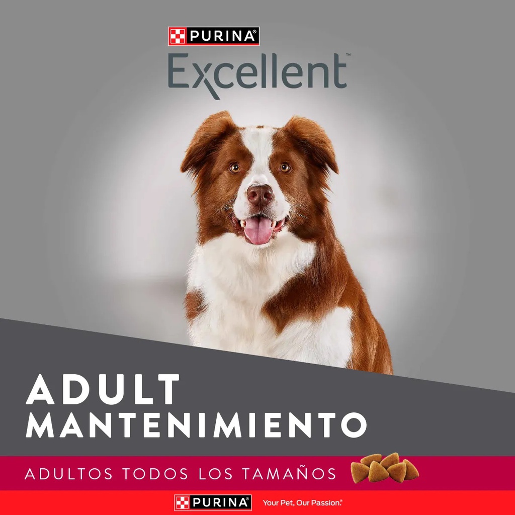 EXCELLENT DOG ADULTO MAINTENANCE X 20KG