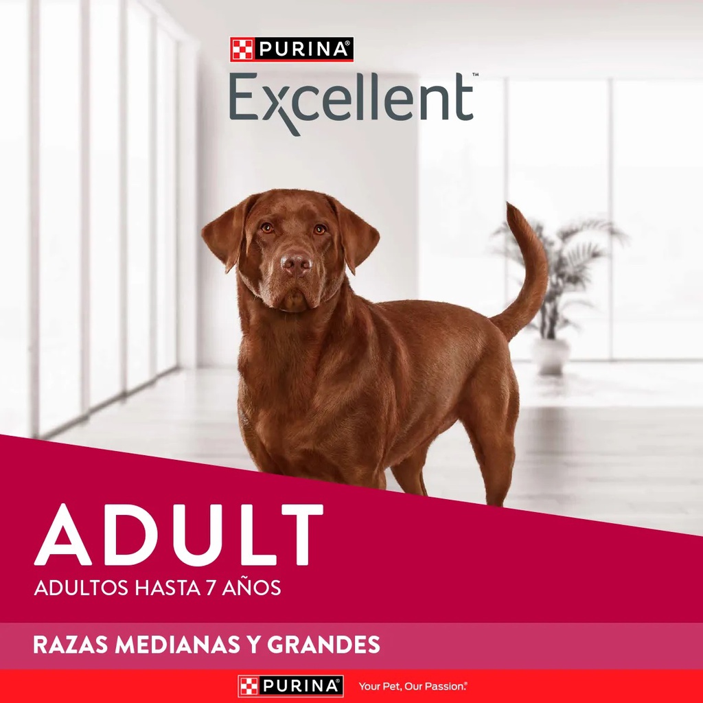 EXCELLENT DOG ADULTO RAZAS MEDIANAS Y GRANDES X 15 KG