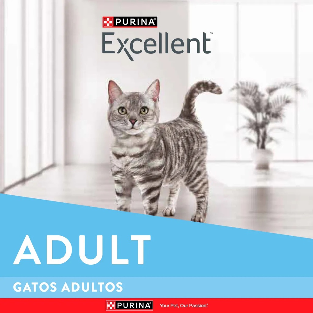 EXCELLENT GATO ADULTO X 1KG