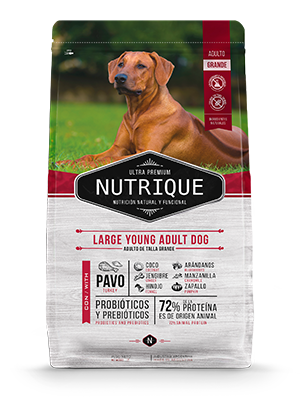 NUTRIQUE LARGE YOUNG ADULT DOG X 15KG