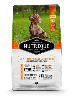 NUTRIQUE TOY & MINI YOUNG ADULT X 3KG