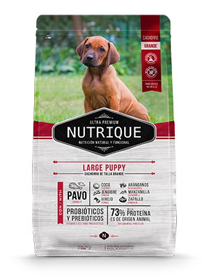 NUTRIQUE LARGE PUPPY X 15KG