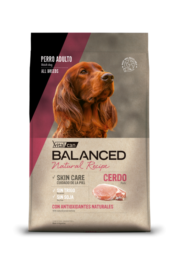 BALANCED PERRO RECIPE CERDO X 15KG