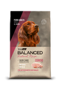 BALANCED PERRO RECIPE CERDO X 15KG